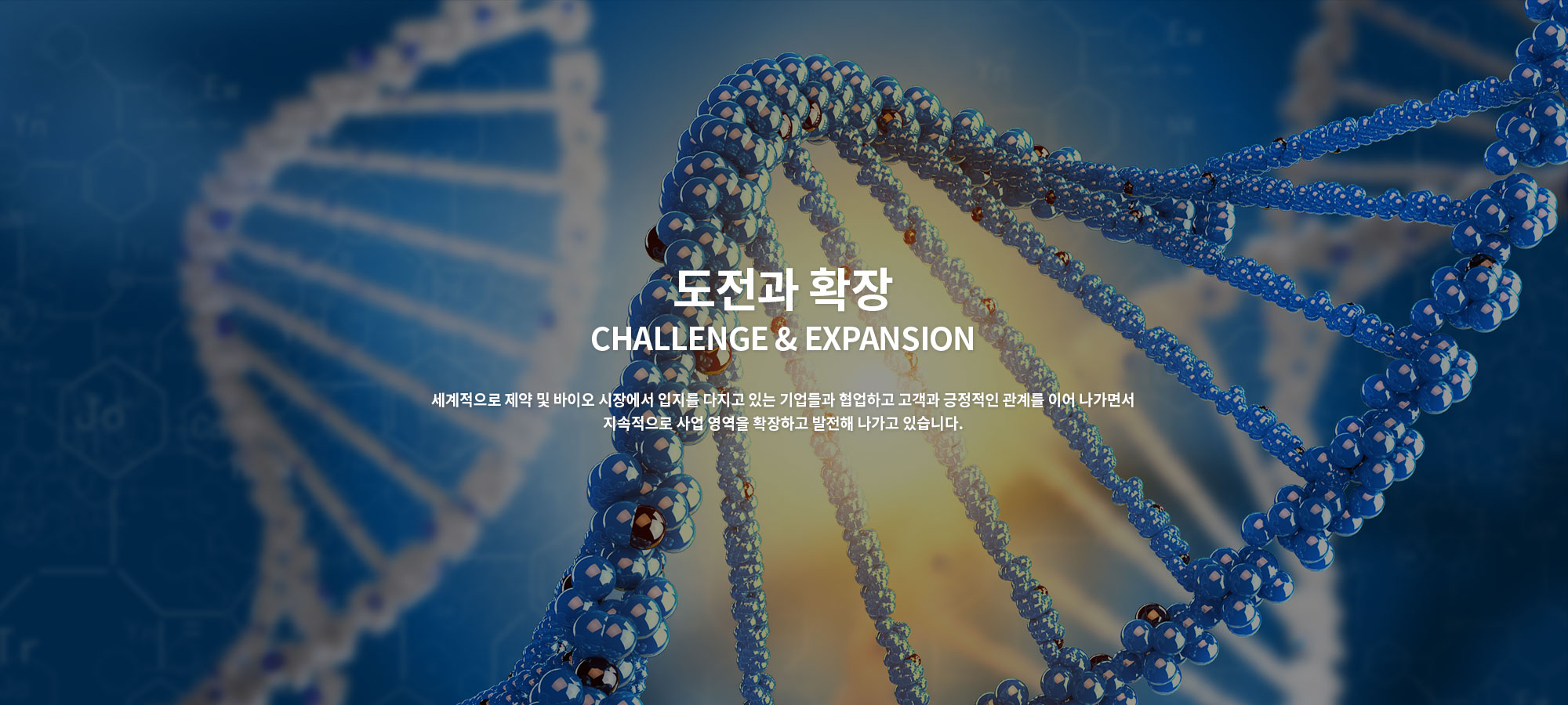 메인비주얼3