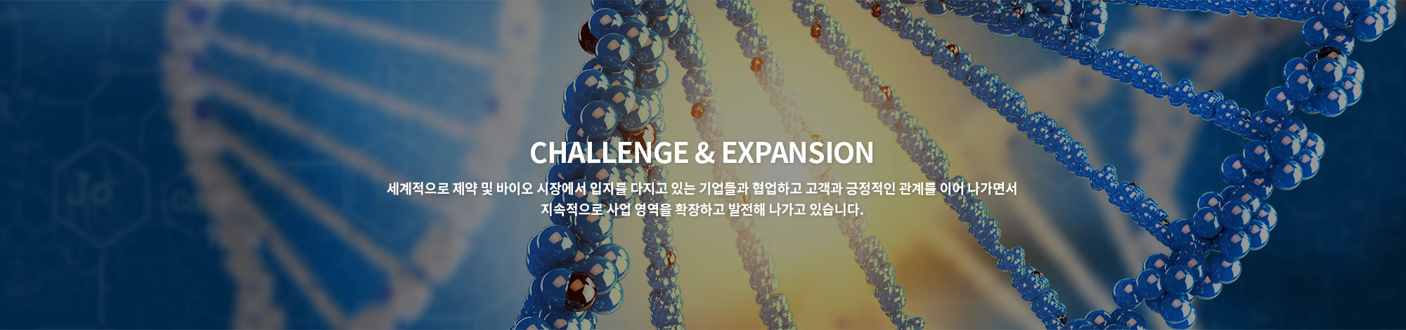 서브비주얼배너3
